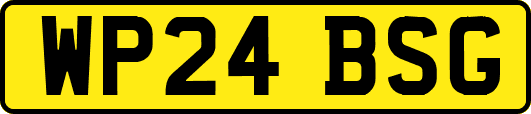 WP24BSG