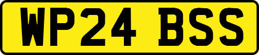 WP24BSS