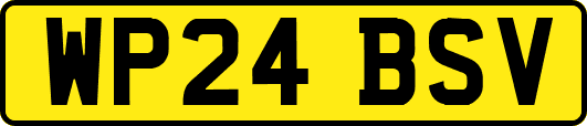 WP24BSV