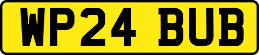 WP24BUB