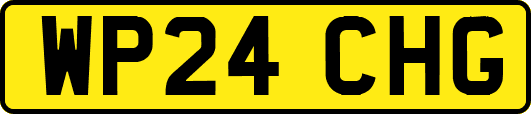 WP24CHG
