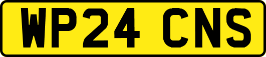 WP24CNS