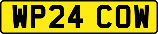 WP24COW