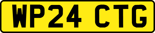 WP24CTG