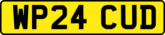 WP24CUD