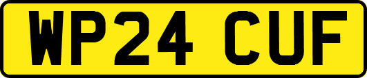 WP24CUF