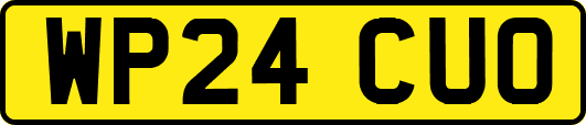 WP24CUO