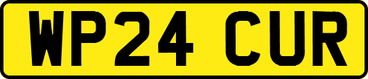 WP24CUR