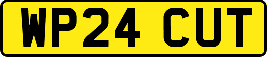 WP24CUT