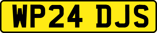 WP24DJS