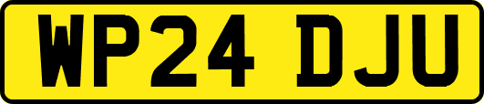 WP24DJU