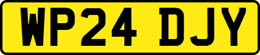 WP24DJY