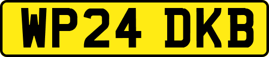 WP24DKB