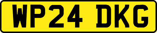 WP24DKG
