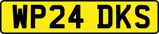 WP24DKS