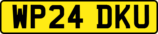 WP24DKU