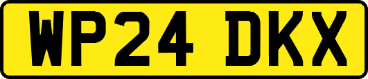 WP24DKX