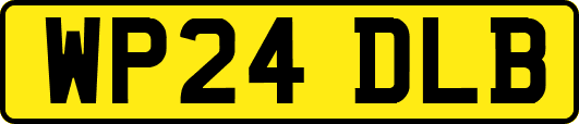 WP24DLB