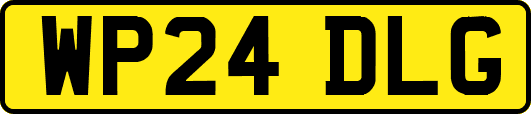 WP24DLG