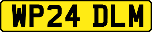 WP24DLM