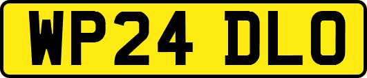 WP24DLO