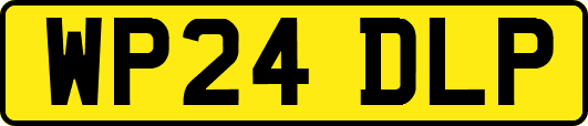 WP24DLP