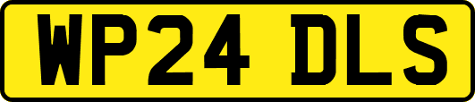 WP24DLS