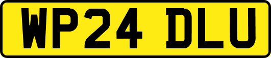 WP24DLU