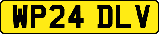 WP24DLV