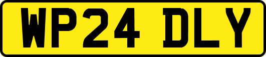 WP24DLY