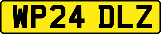 WP24DLZ