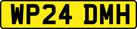 WP24DMH
