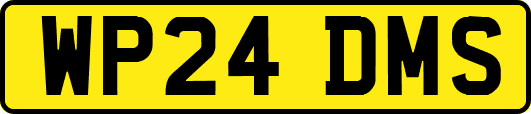 WP24DMS
