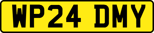 WP24DMY