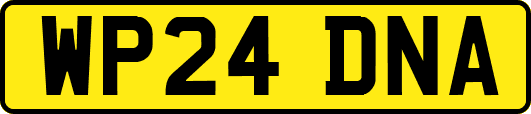 WP24DNA