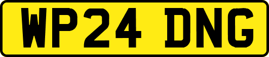 WP24DNG