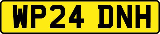 WP24DNH