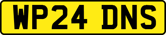 WP24DNS