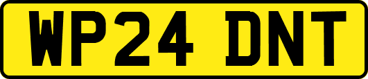 WP24DNT
