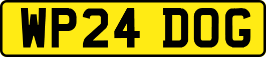 WP24DOG