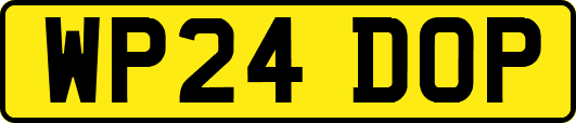 WP24DOP