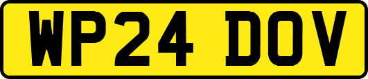 WP24DOV