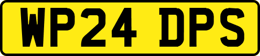 WP24DPS