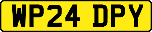 WP24DPY
