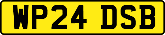 WP24DSB