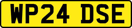 WP24DSE