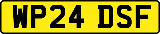 WP24DSF