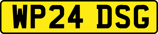 WP24DSG