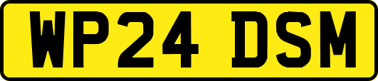 WP24DSM