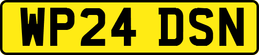 WP24DSN